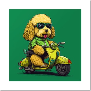 BMF Golden Doodle Riding Scooter Posters and Art